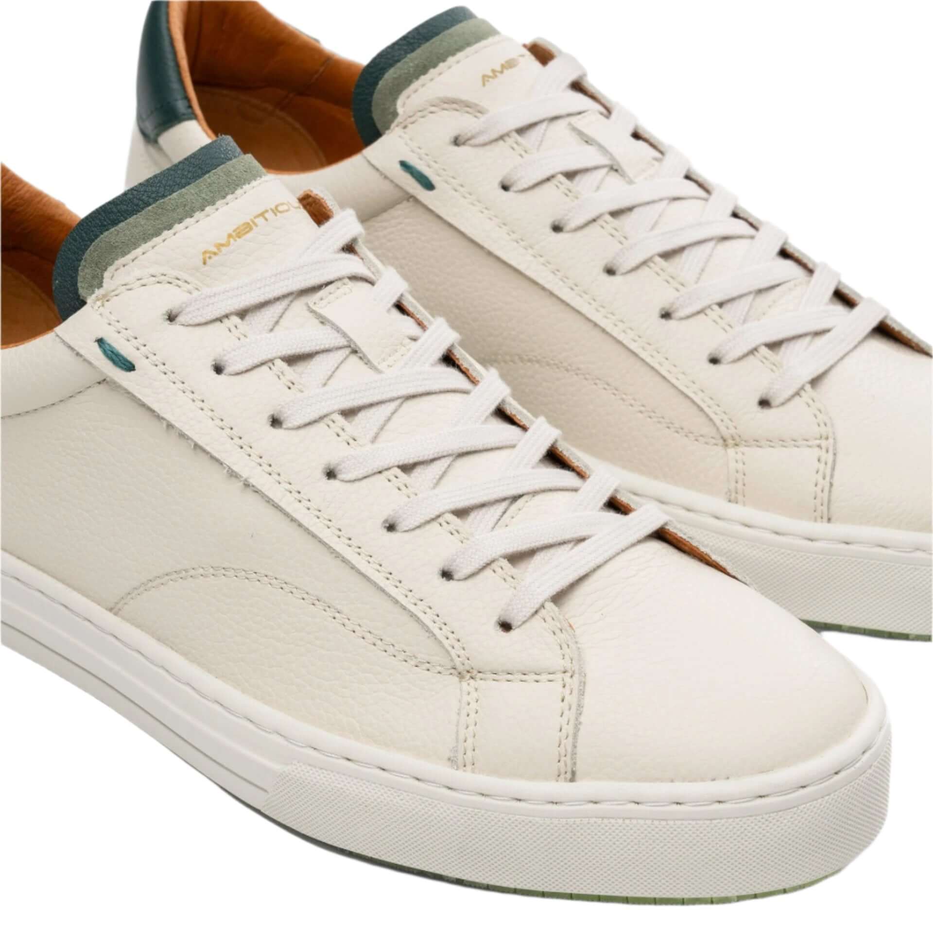 Ambitious Anopolis leather trainers in Stone and Bottle, heel and sole view