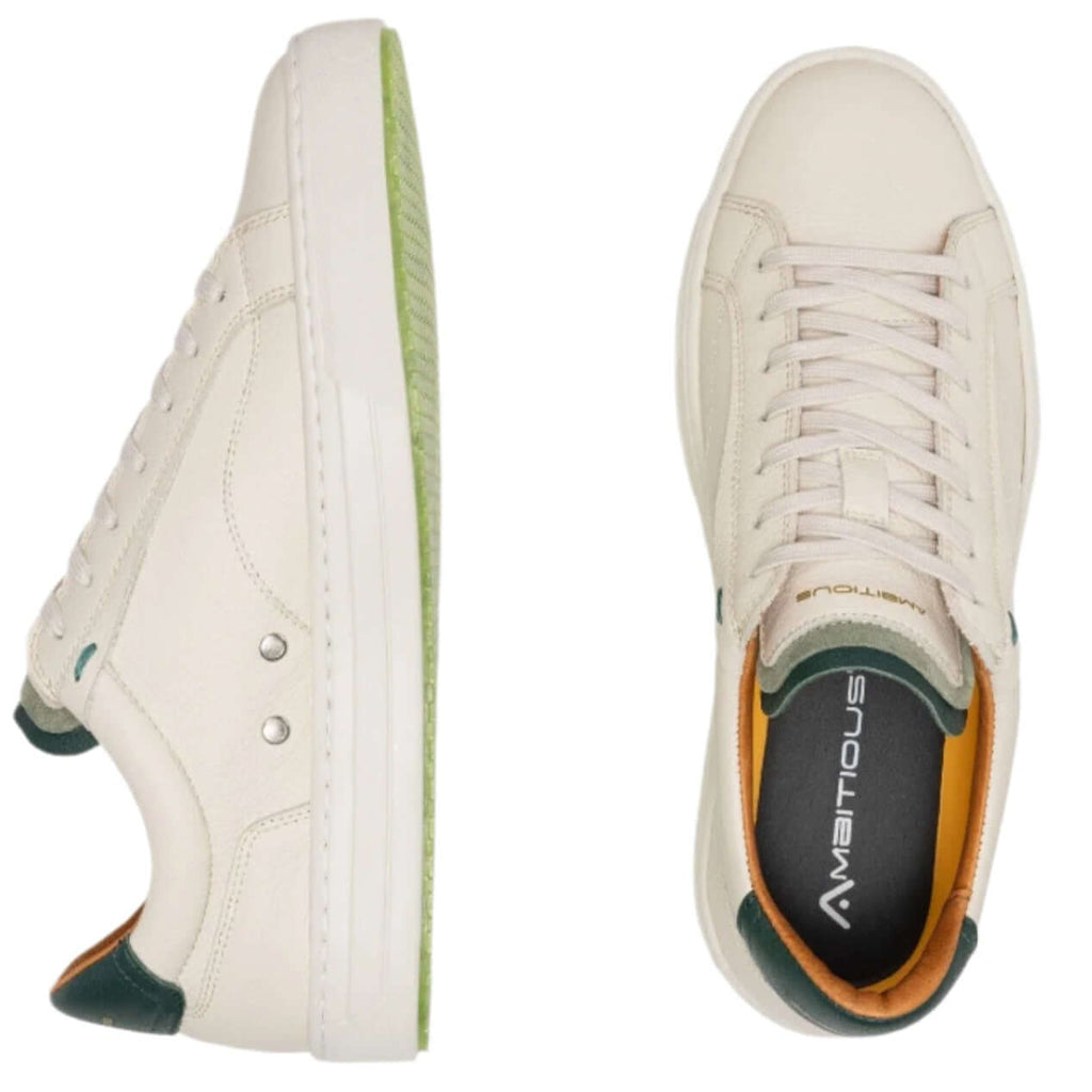 Ambitious Anopolis leather trainers in Stone and Bottle, upper detail