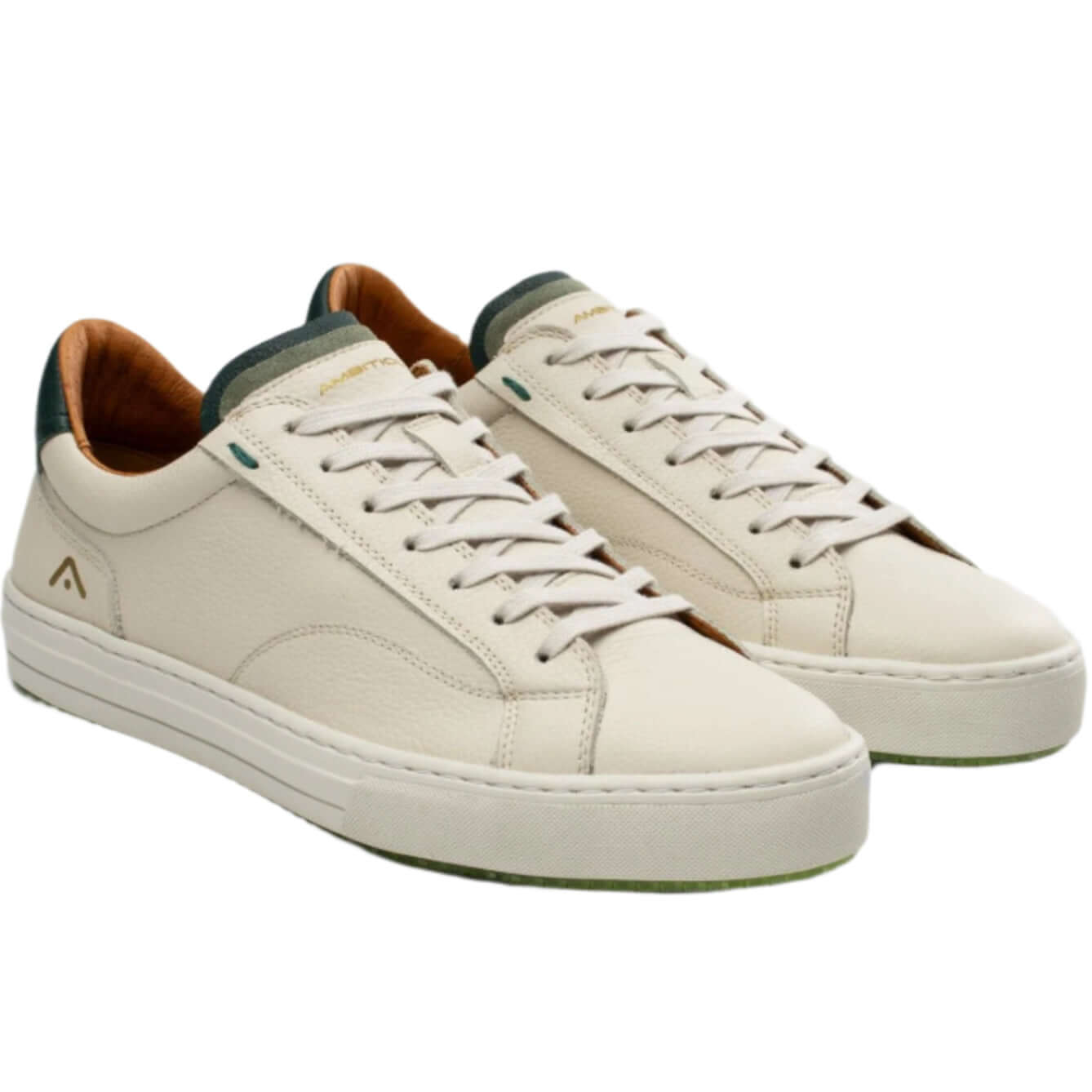 Ambitious Anopolis leather trainers in Stone and Bottle, side view