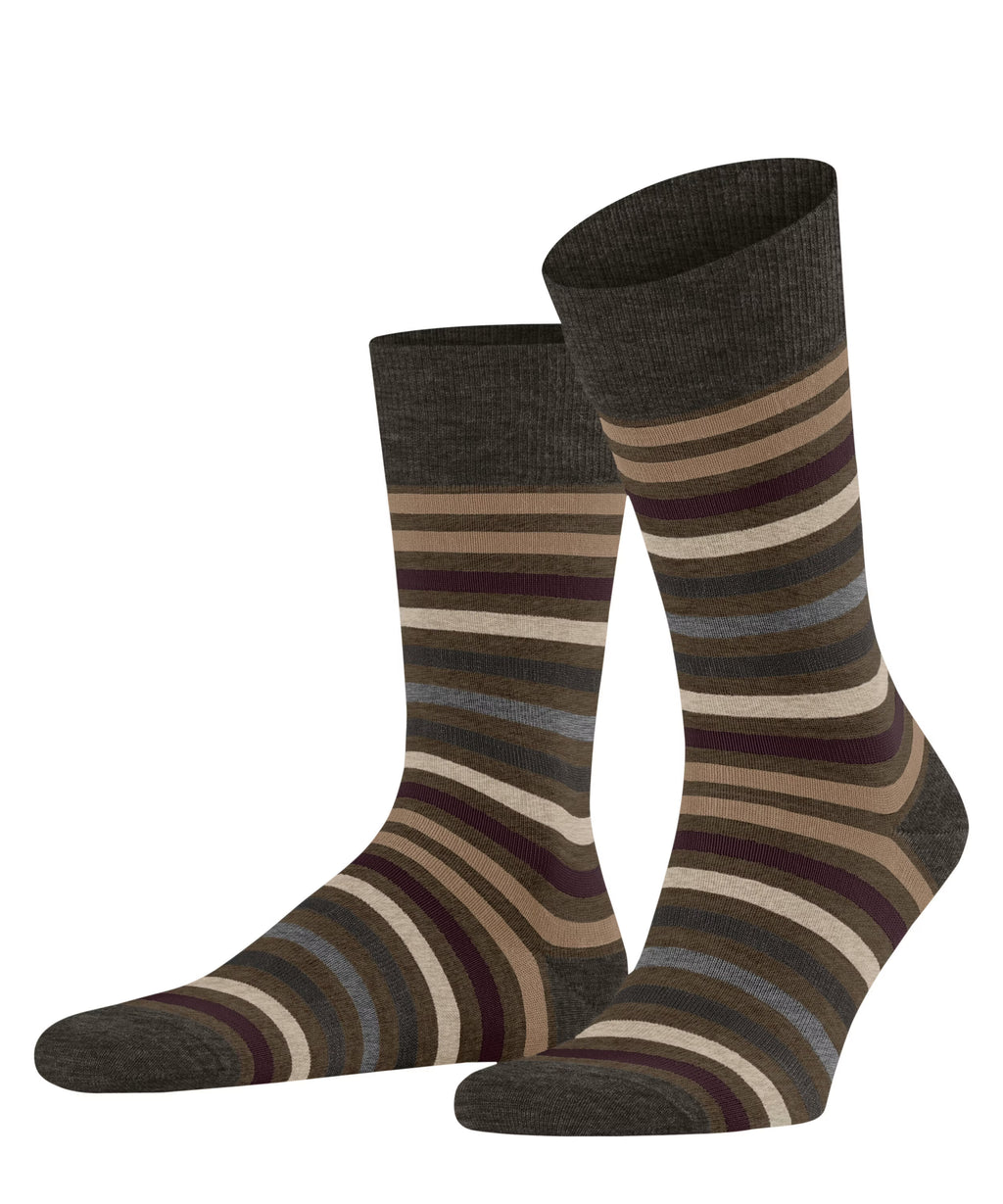 Tinted Stripe Cotton Socks