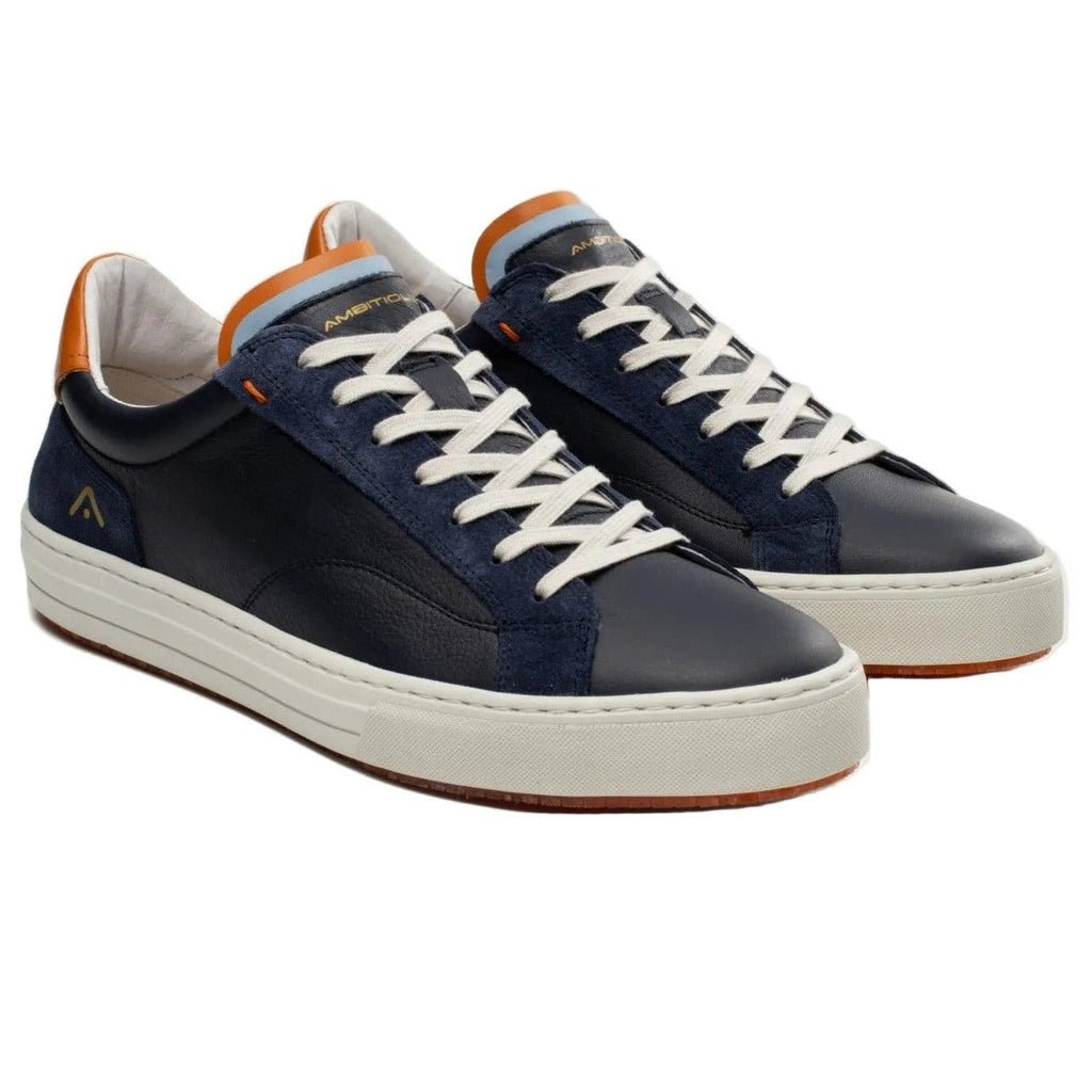 Anopolis Trainer