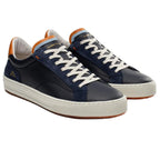 Anopolis Trainer