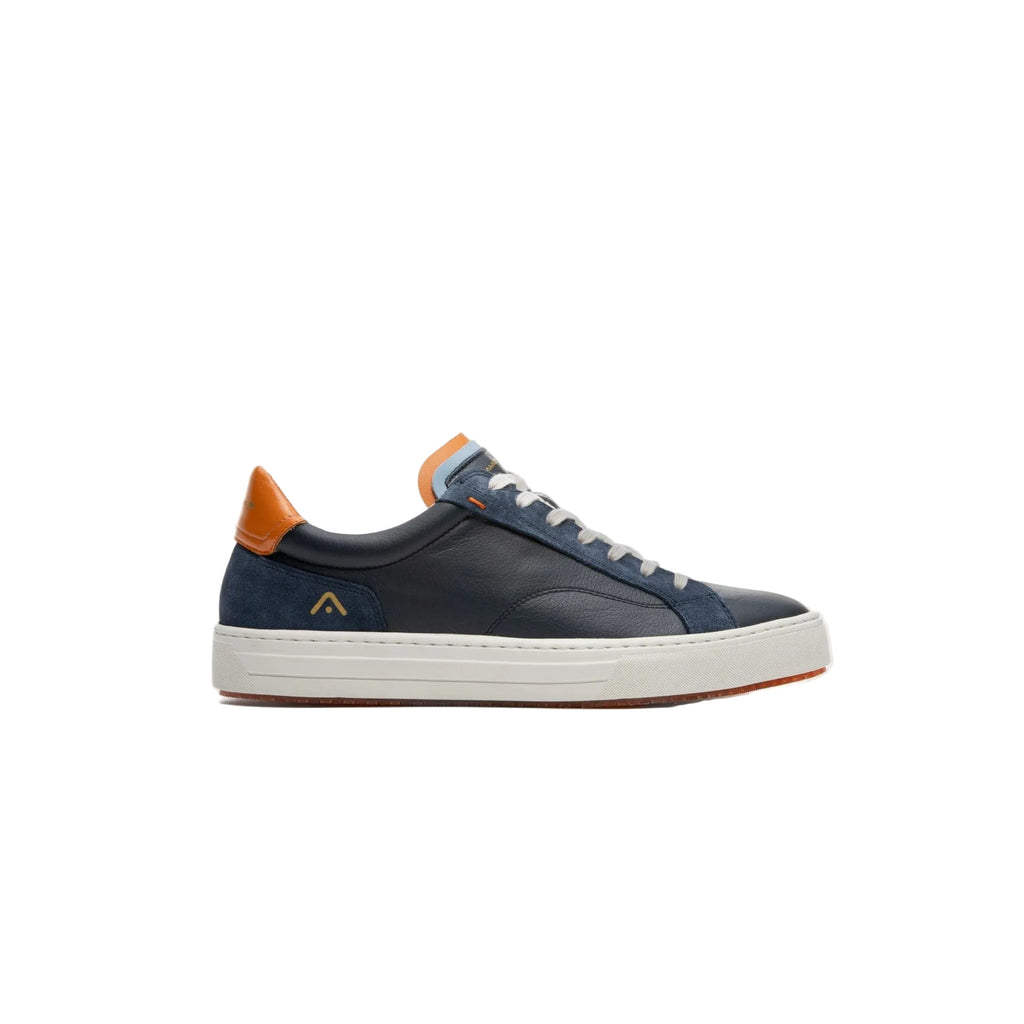 Anopolis Trainer