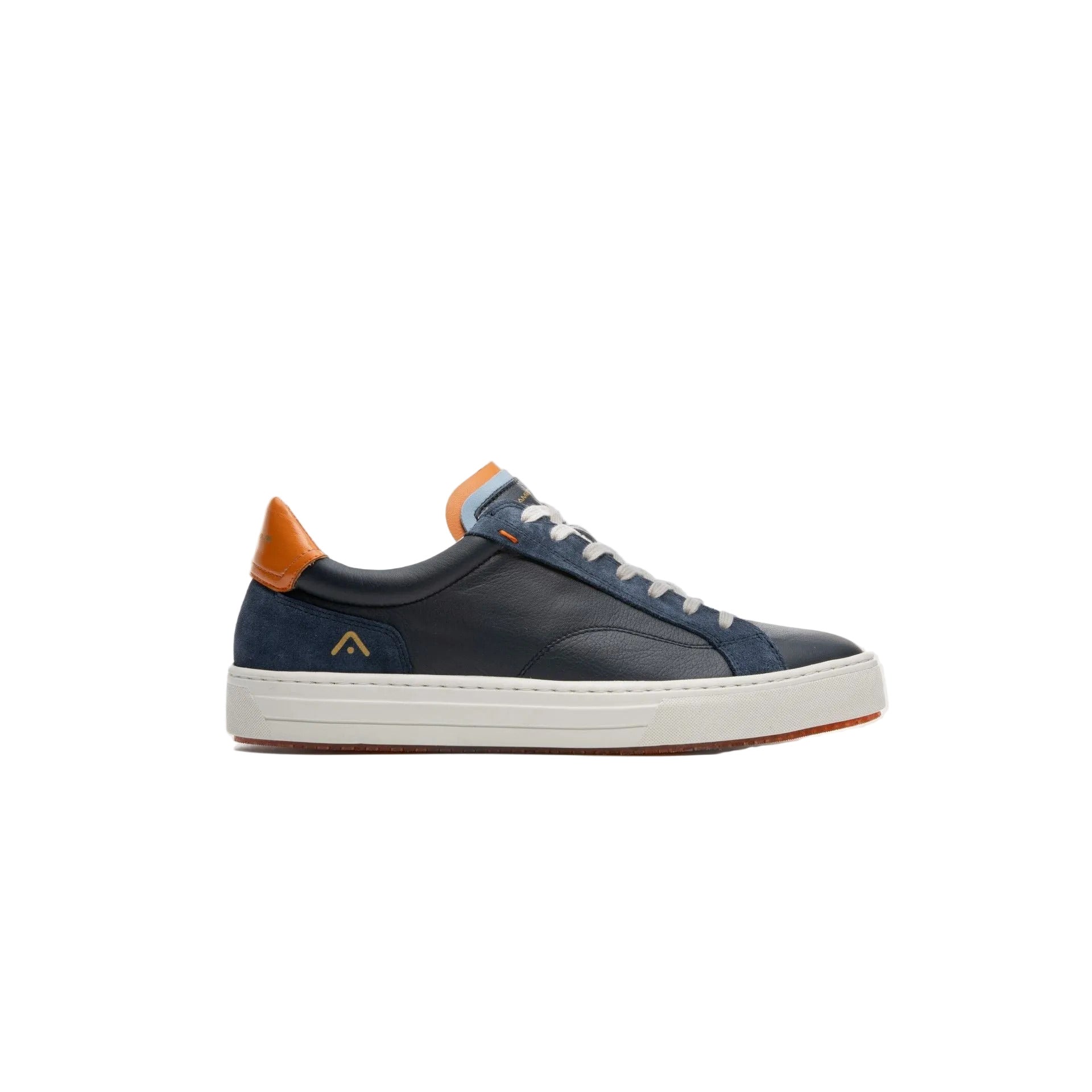 Anopolis Trainer