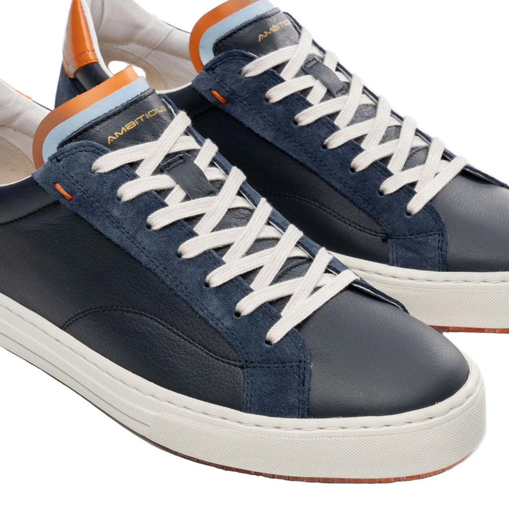 Anopolis Trainer