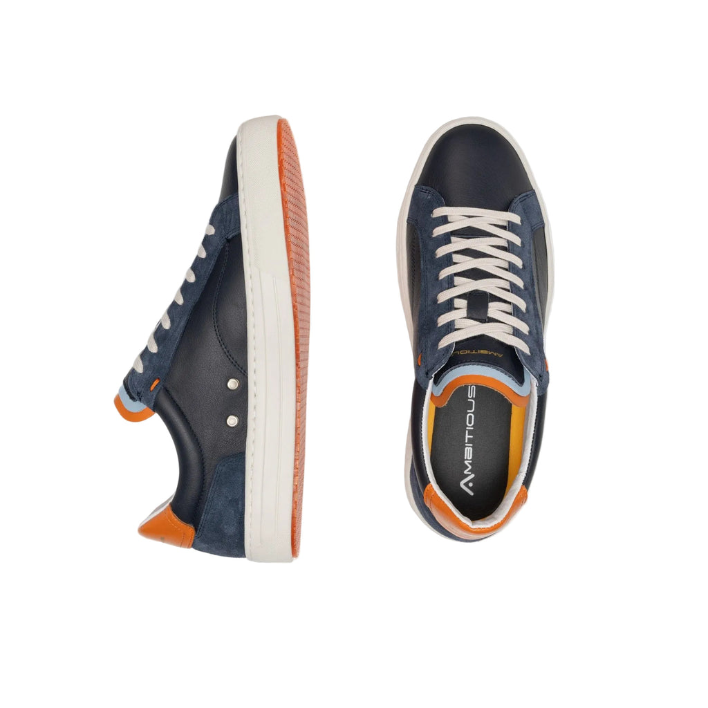 Anopolis Trainer