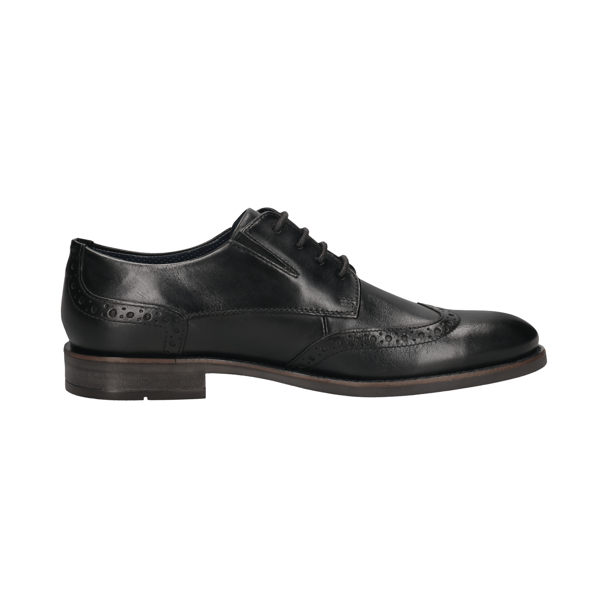 Derby Brogue
