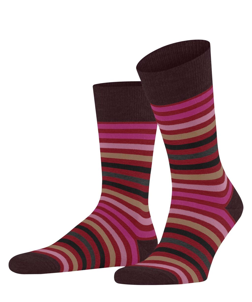 Falke - Tinted Stripe Cotton Socks - Colour: Ingle