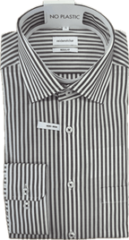 Striped Shirt