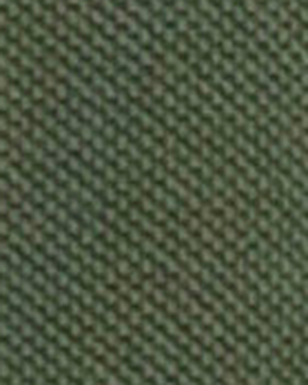 Barbour Lunan Tartan Trimmed Tailored Polo Shirt in Olive – colour swatch