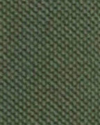 Barbour Lunan Tartan Trimmed Tailored Polo Shirt in Olive – colour swatch