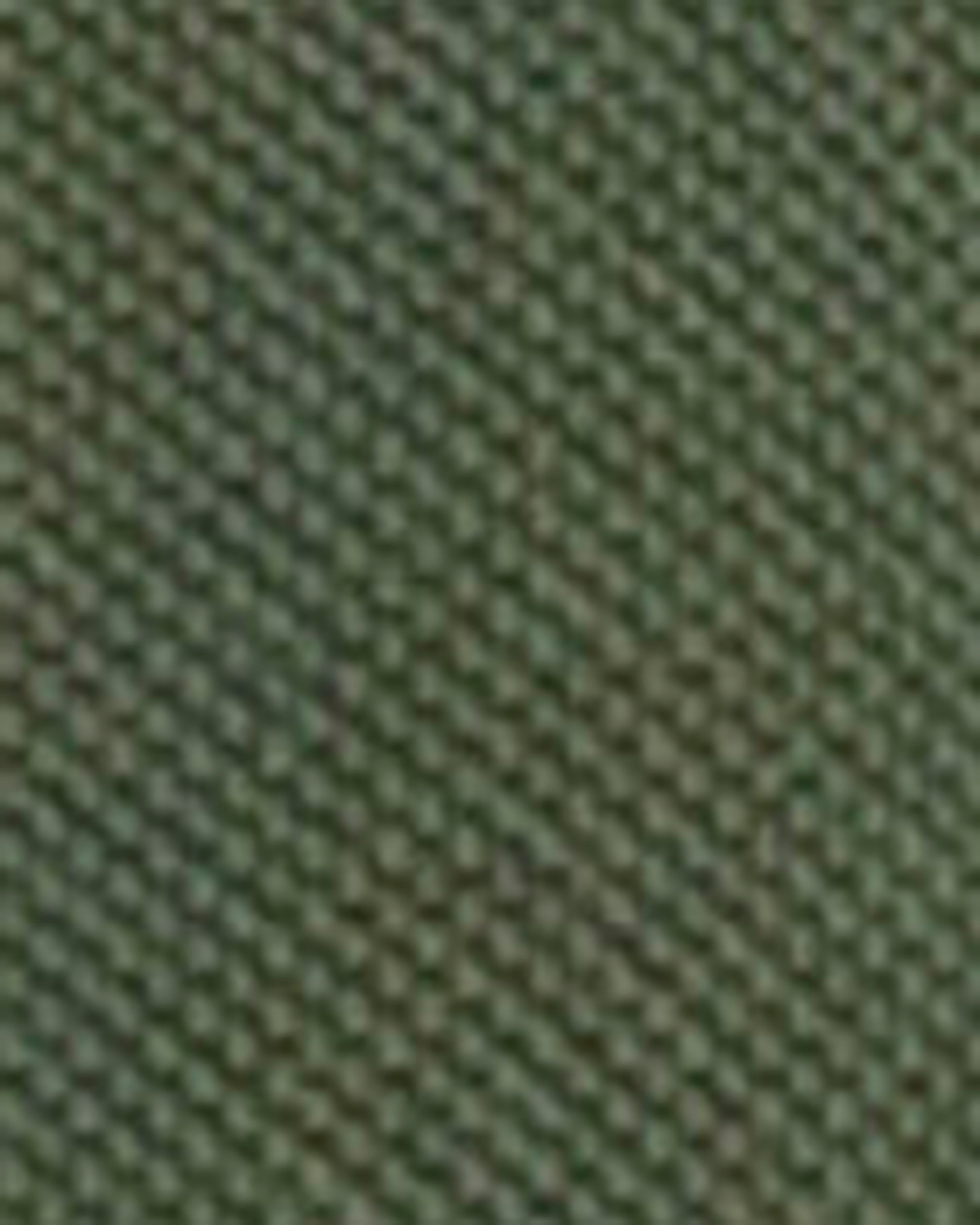 Barbour Lunan Tartan Trimmed Tailored Polo Shirt in Olive – colour swatch