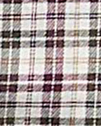 William Regular Fit Checked Shirt