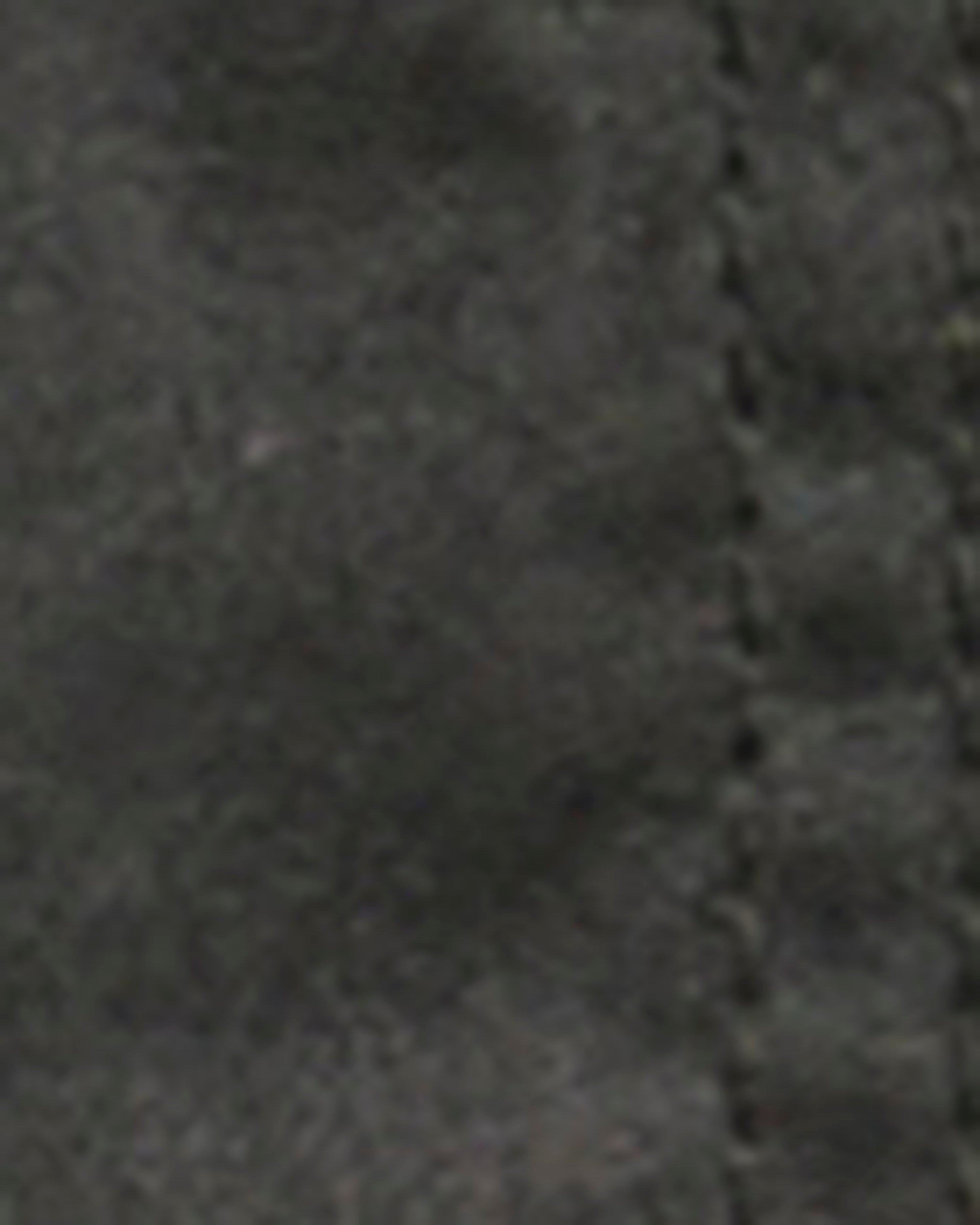 Barbour Icons Ashby Wax Jacket in Sage – detail view