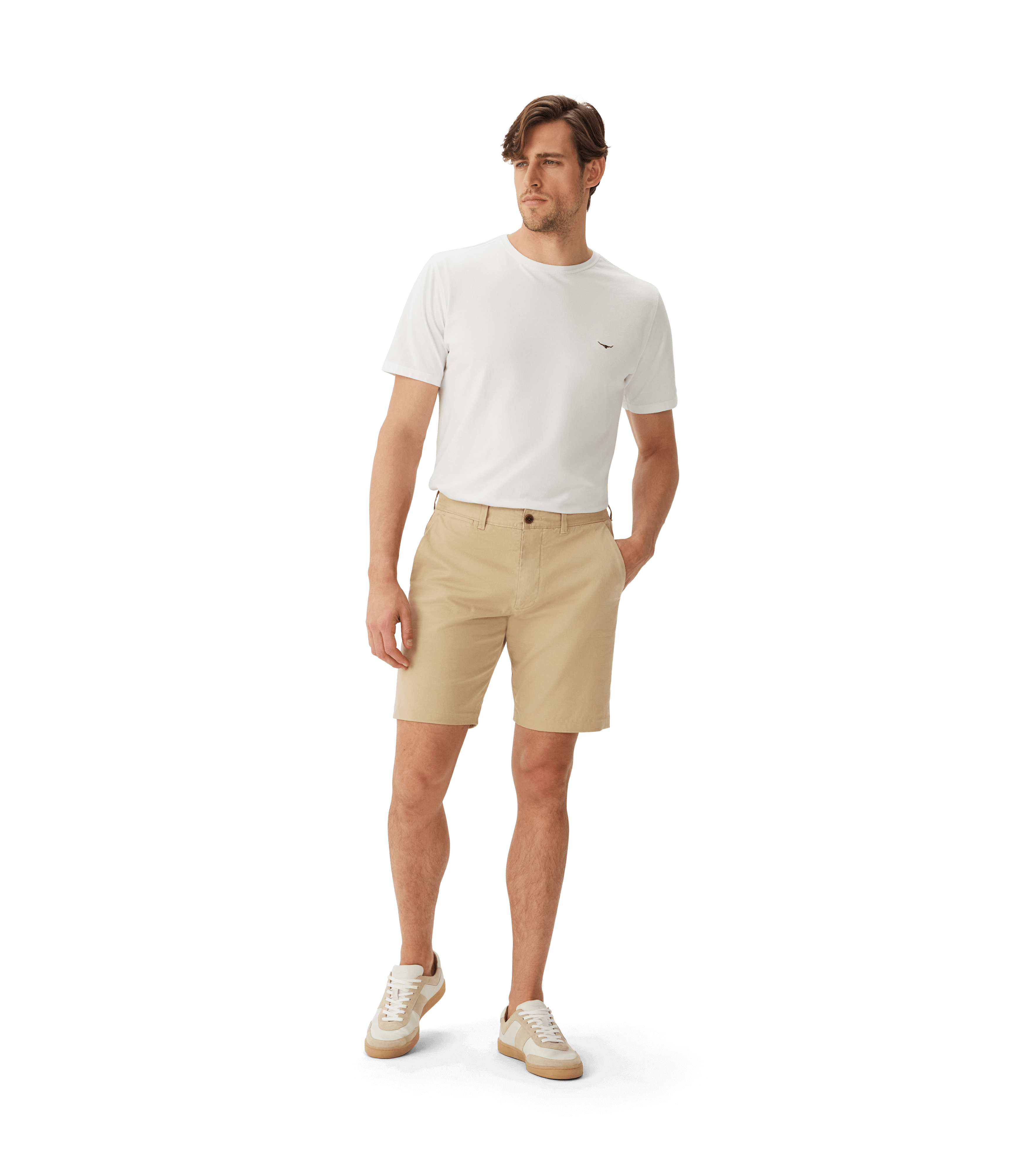Berwick Chino Shorts