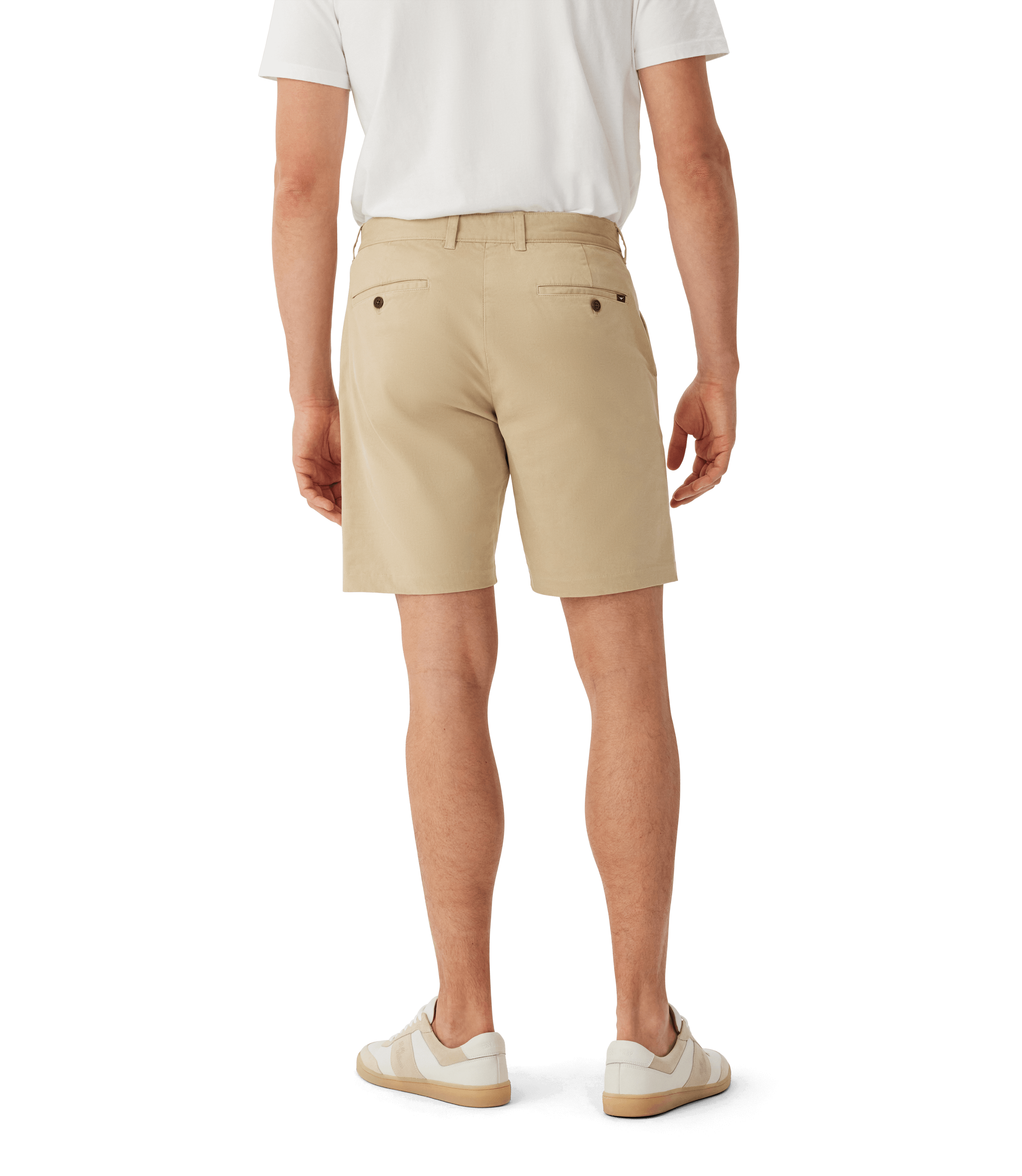 Berwick Chino Shorts