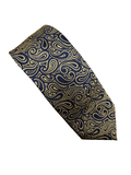 Paisley Silk Tie