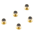 Hunt & Holditch - Dress Shirt Studs - Colour: Black / Gold