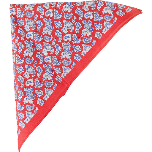 Van Buck | Patterned Silk Pocket Square | Colour: RED PAISLEY