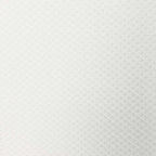 Hunt & Holditch - Evening Shirt | Regular Fit | Point Collar - size: 15"