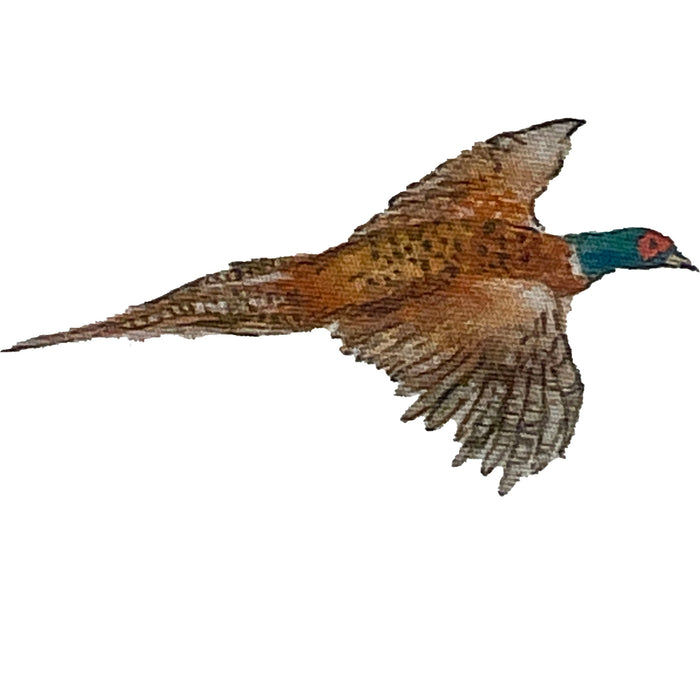 Schoffel | Norfolk Shirt | Colour: Pheasant Print