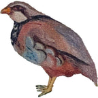 Schoffel - Norfolk Shirt - Colour: Bee Print